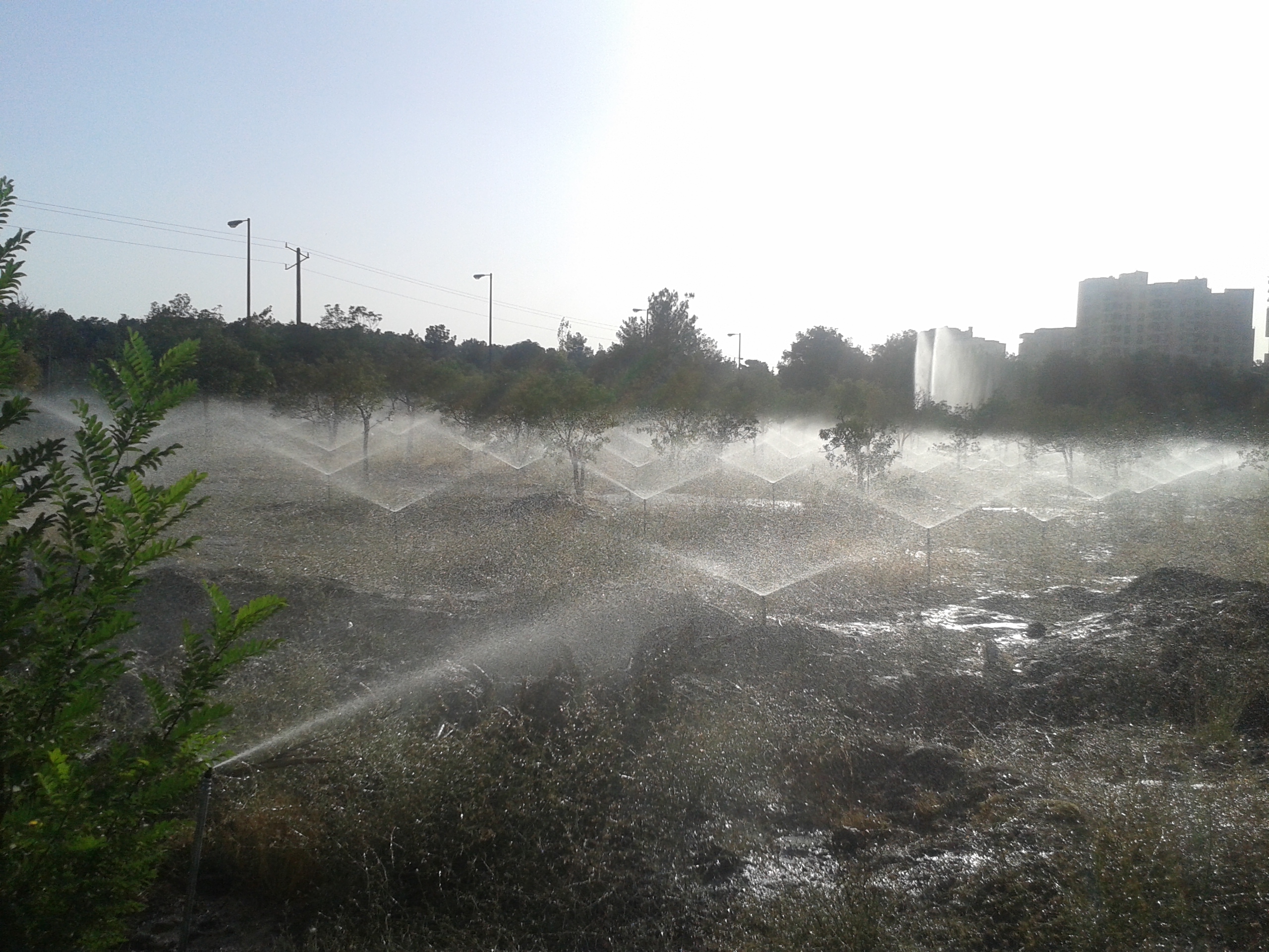 دسته بندی سیستم ای آبیاری بارانی و قطره ای هوشمند